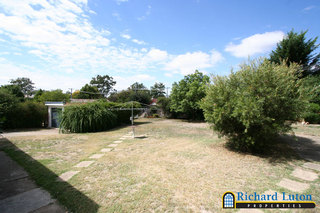 Rear Garden (2006-06-01)