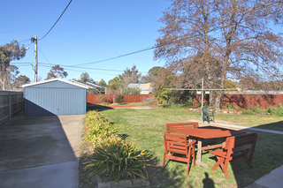 Backyard (2009-07-30)