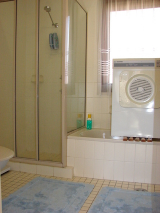Bathroom (2008-06-04)