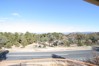 View (2006-06-06)
