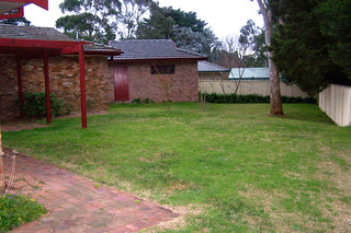 Backyard (2014-07-09)