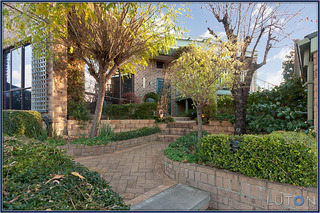 Garden view (2012-05-29)