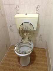 Toilet (2013-09-04)