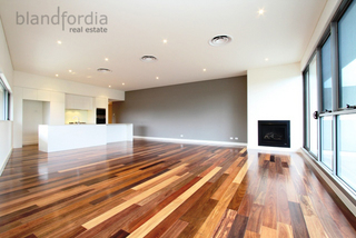 Living Room (2011-06-02)