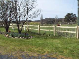 House Paddock (2010-10-13)