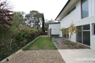Backyard (2014-08-12)