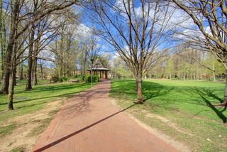 Standard Photo (2014-05-19)