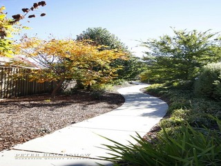 Path (2011-04-15)