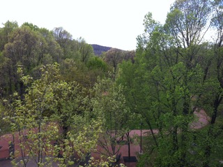 View (2013-10-03)