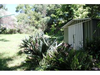 8a McKenzie Avenue Wollongong - Yard 2 (2017-03-15)