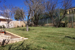 Rear yard (2003-08-27)