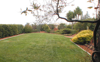 Garden (2002-07-17)