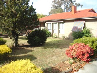 Frontyard (2006-04-29)