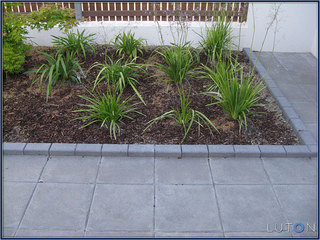 Garden (2012-01-09)