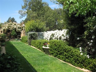 Courtyard (2009-11-18)