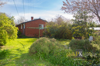 Rear Garden (2014-07-16)