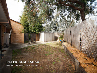 Backyard (2011-06-03)