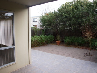 Standard Photo (2015-01-09)