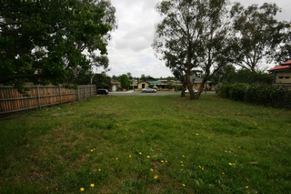 Main Photo (2011-11-18)