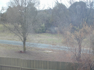 View (2001-10-09)
