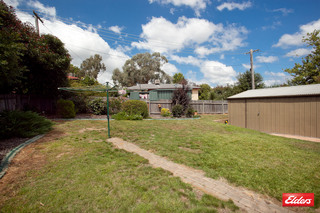 Backyard (2011-03-03)