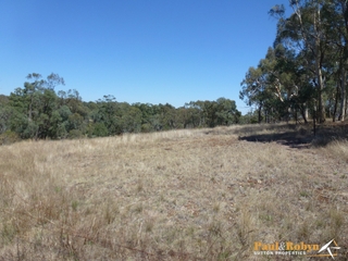 Paddock (2013-02-08)