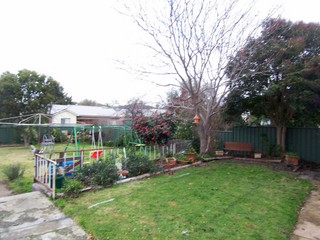 Backyard (2008-06-19)