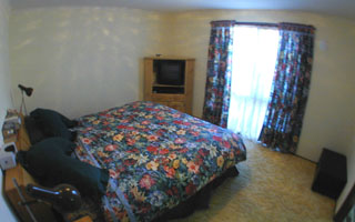 Bed 1 (2003-03-06)