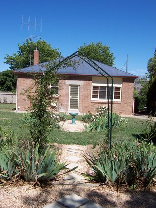 Backyard (2005-02-08)