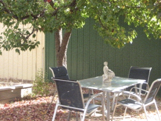 Backyard (2009-04-22)