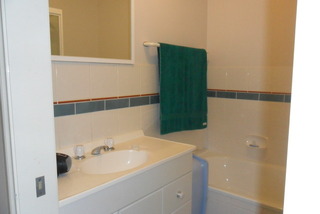 Bathroom (2016-01-19)