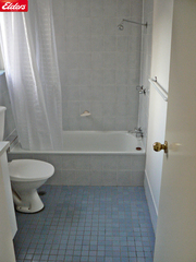 Bathroom (2011-08-03)
