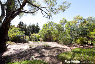 Native Garden (2011-03-10)
