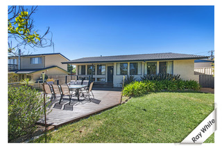 Frontyard (2013-11-07)