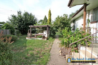 Backyard (2006-01-25)