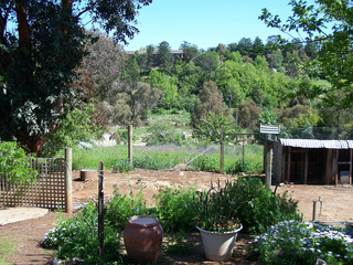 Back Yard (2011-03-08)