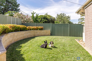 Landscaped gardens and puppies :) (2018-02-19)