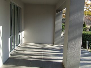 Frontyard (2010-04-29)