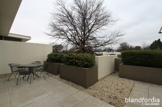Patio (2015-07-24)