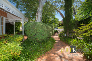 Frontyard (2015-11-26)