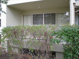 Front View (2014-12-09)