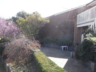 Rear Courtyard (2012-01-11)
