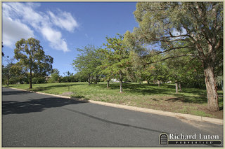 Park (2010-03-11)