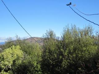 View (2013-03-13)