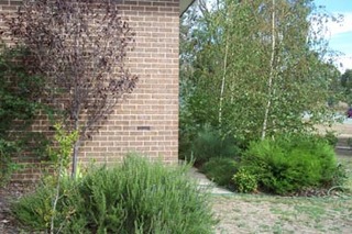 Side of house (2004-03-11)