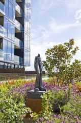 Garden (2011-02-16)