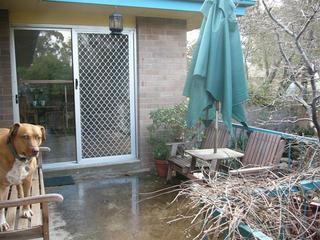 Deck (2006-07-25)