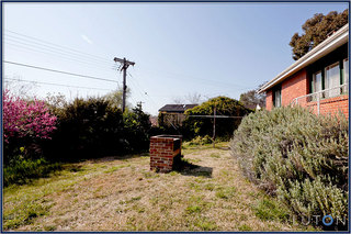 Rear garden (2013-09-11)