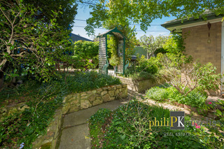 Back garden (2014-10-08)