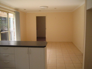 Kitchen + meals (2011-03-06)